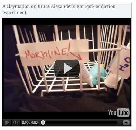 Image to go with video of: A claymation on Bruce Alexander's Rat Park addiction experiment
