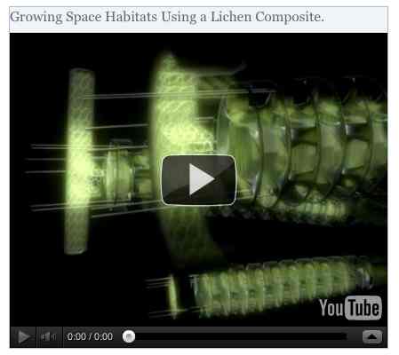 Image to go with video of: Growing Space Habitats Using a Lichen Composite.